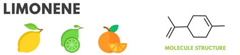 Limonene Terpene Overview: Benefits of Limonene? » Absolute Nature CBD