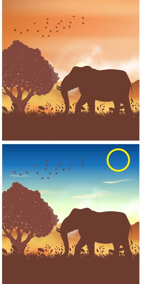 visual test   spot  difference    images