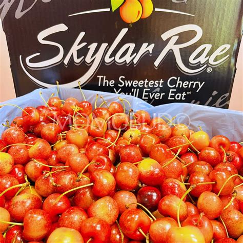 Washington Skylar Rae® Cherry — MomoBud
