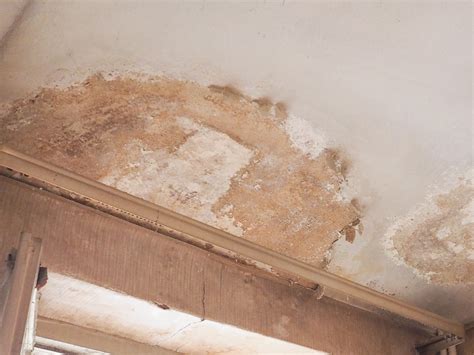 Peter Cox Blog: Winter Damp Protection | Property Care