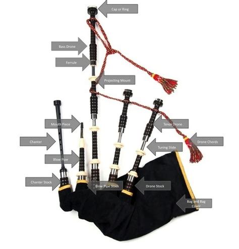 Bagpipe anatomy | Bagpipes, Highland bagpipes, Scrooge mcduck