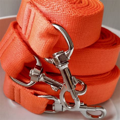 Shek O Dog | Accessories that make hounds and humans happy