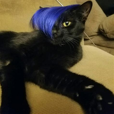 overview for DeadEyes609