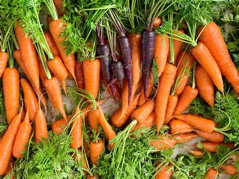 recipes with carrot tops