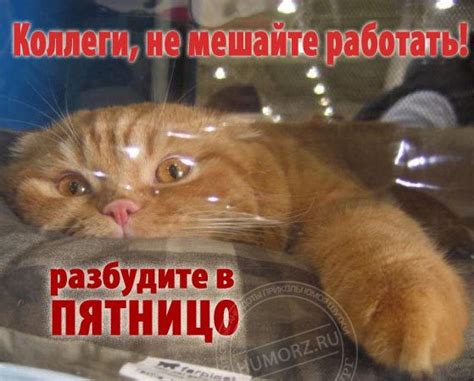 Скачать прикольные и красивые картинки: Конец рабочего дня на fun ...