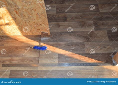 Laying Industrial Linoleum in the Interior of the House Stock Image ...