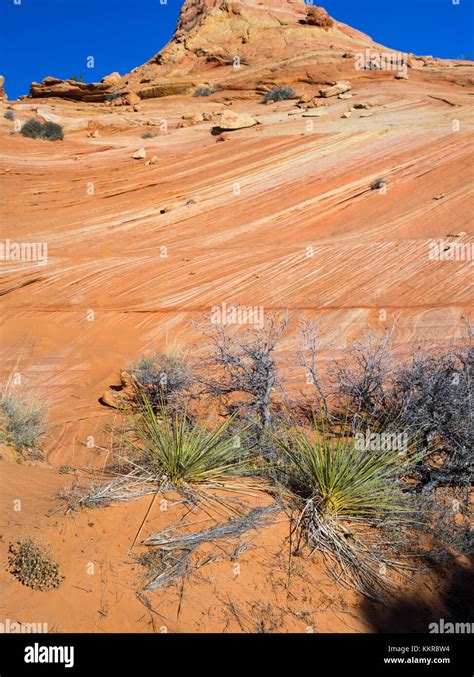 Photograph of the beautiful geology and wild rock formations at South ...