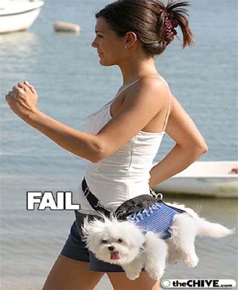 Funny Animal Fails