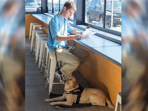 Paws near me services are helping pets live longer lives 23