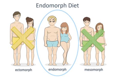 Endomorph Diet & Workout Guide: Eat & Train For Your Body Type