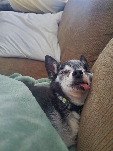 mfw i pass out drunk on the couch and my friends take mean pics of me