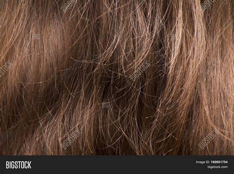 Detailed Brown Female Image & Photo (Free Trial) | Bigstock