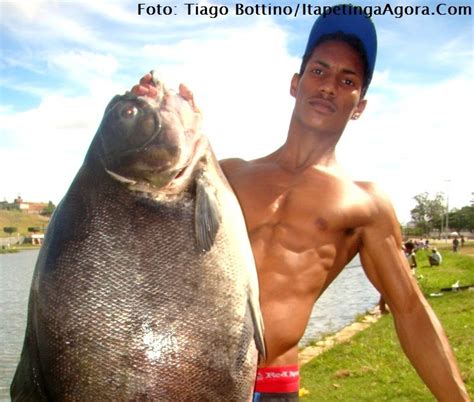 ibicarai politica peixe gigante  pescado  parque da lagoa em