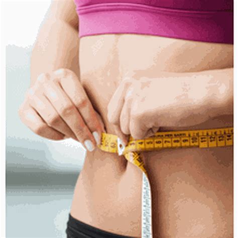 Happy Mammoth discount codes: 20% OFF | January 2026