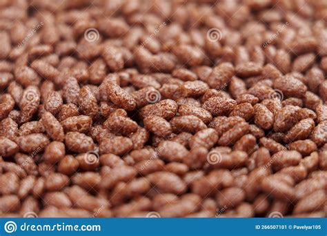 Crispy Chocolate Rice Cereal Breakfast Stock Image - Image of sweet ...