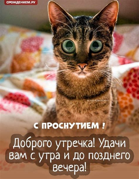 Пин от пользователя Galina Meshalkina на доске Пожелания доброго утра ...