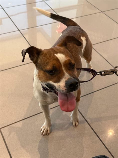 Readers of paul thigpen discuss his latest controversial work 17