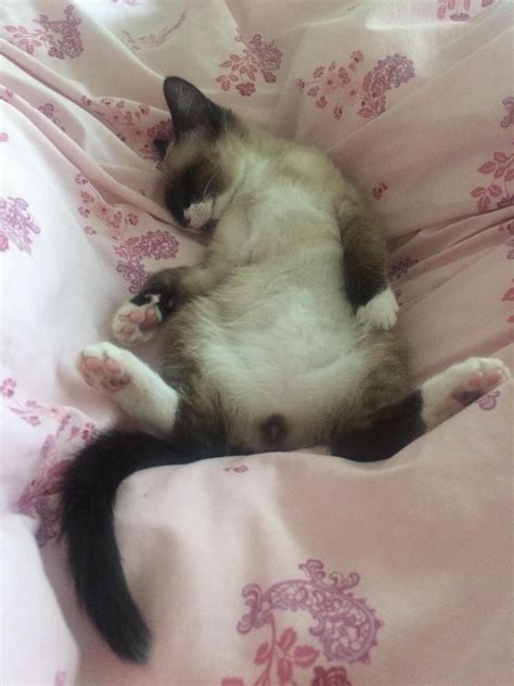 Pin on Cute