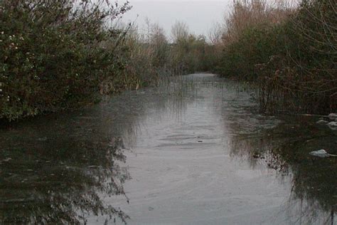 Muddy