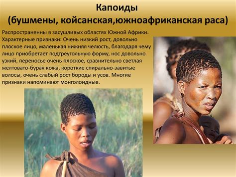 Негроидная расса - презентация онлайн