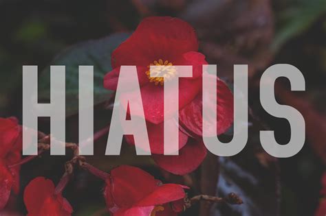 Hiatus – ThisBoyIsToast.nu