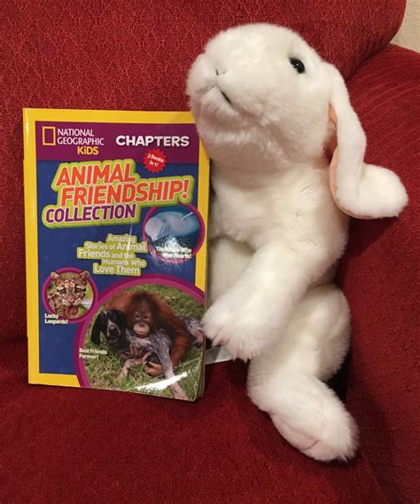 national geographic kids bookbunnies