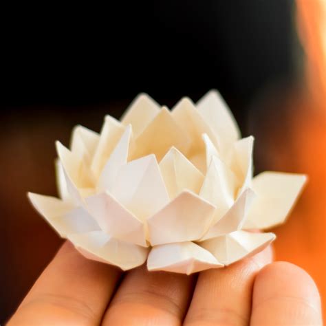 Master the Fold: Origami Tips to Unlock Your Potential!