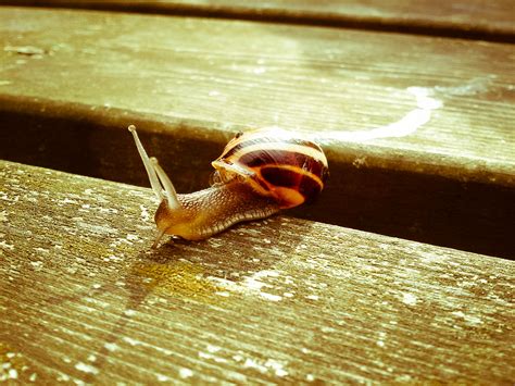 Big Booty Bailey's Epic Van Life Tour! - Truth or Fiction