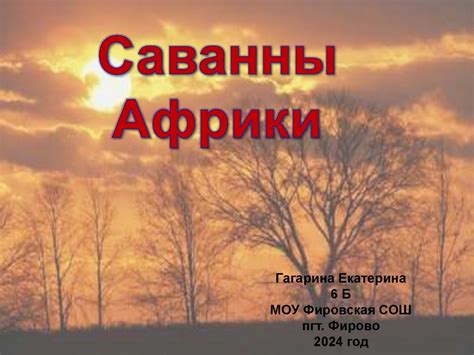 Саванны Африки. Географическое положение - презентация онлайн