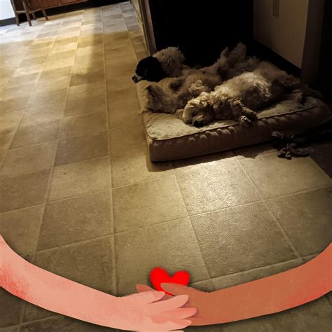 Wahpeton - 🖤 Coming soon: North Dakota Blackout Plates! 🖤 Starting