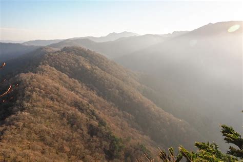 littlemountain yamap