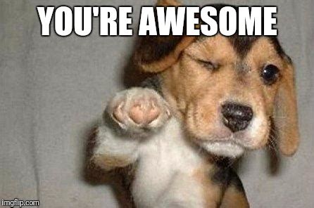 You Are Awesome Meme - Captions Cute Viral