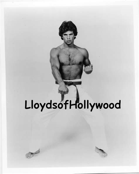 Lorenzo Lamas Martial Arts Black Belt Karate Beefcake Photograph - Etsy