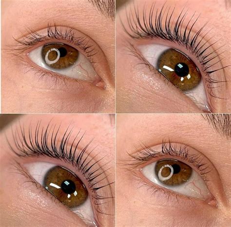 Brow Lamination E Lash Lifting - Curso brow lamination e lash lifting – Artofit