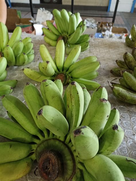 Baby Bananas Information, Recipes and Facts