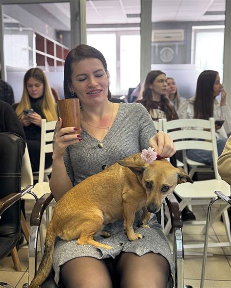 InText (@intext_com) • Instagram photos and videos