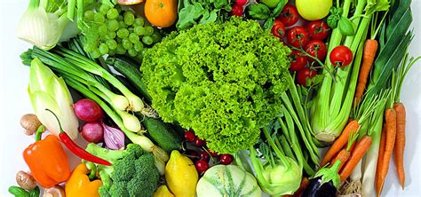 Que Se Alimenta De Vegetais - Quais são os Alimentos Vegetais? | Mundo Ecologia
