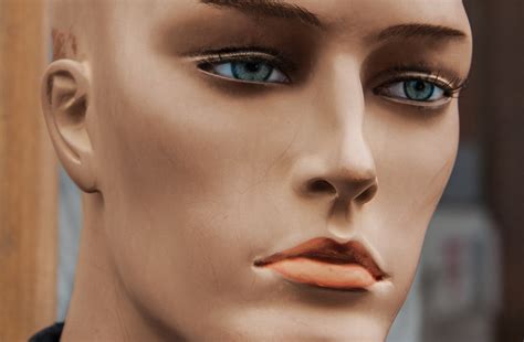 Face Man Head - Free photo on Pixabay - Pixabay
