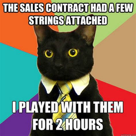 Chuck's Fun Page 2: Business cat meme - again