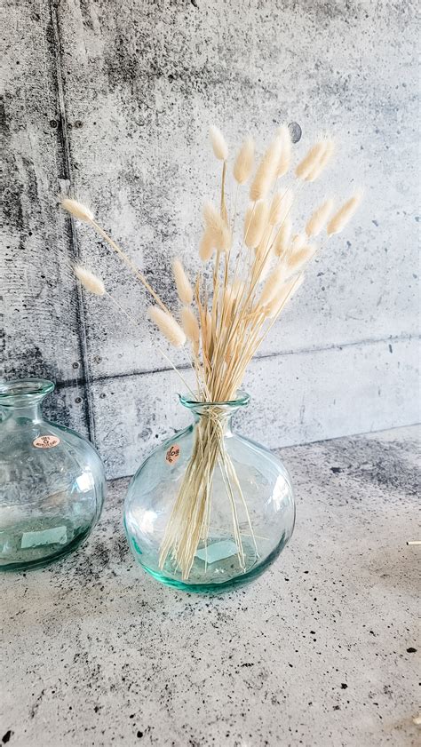 Bunnytails - White – Plantita & Co. Bloom Bar & Studio