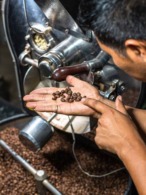 Espresso Beans VS. Coffee Beans 2023 (9 Key Factors!) » Joyful Dumplings