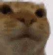 Awkward GIF - Awkward - Discover & Share GIFs