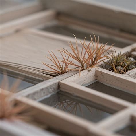 How Can Automated Window Controls Enhance the Sustainability of Natural