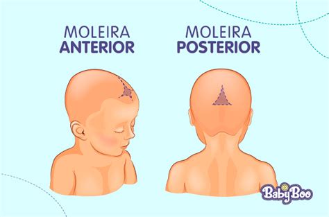 Quando Fecha A Moleirinha Do Bebe - Moleira do bebê - quais cuidados devemos ter? e quando ela fecha?