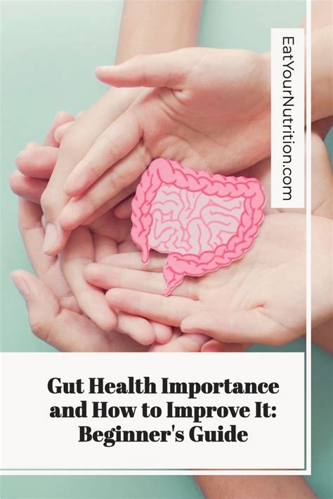 Unlocking the Secrets: A Beginner's Guide to Optimal Gut Health | Gut ...