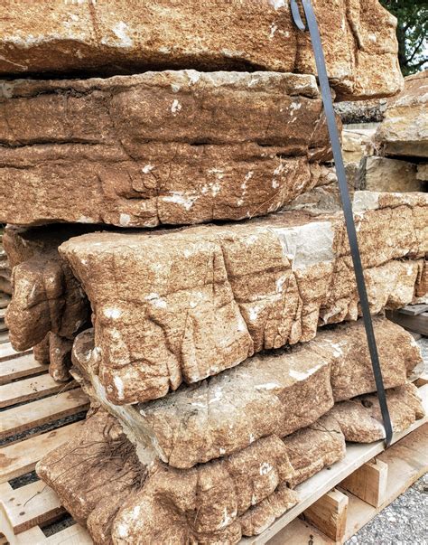 weathered limestone outcropping birch tree bark stone