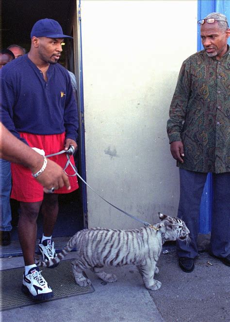 Tiger im Bett: Die exotischen Mitbewohner der Stars | STERN.de