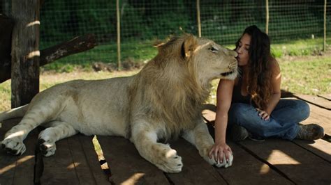 DO YOU HAVE A PET LION?