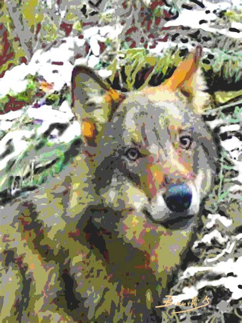 Friend wolf - Ivana Bianchi