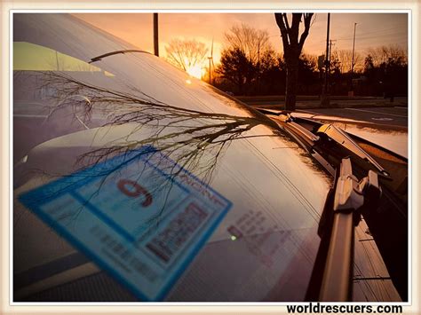 Inspection Stickers: Ensuring Vehicle Safety and Compliance